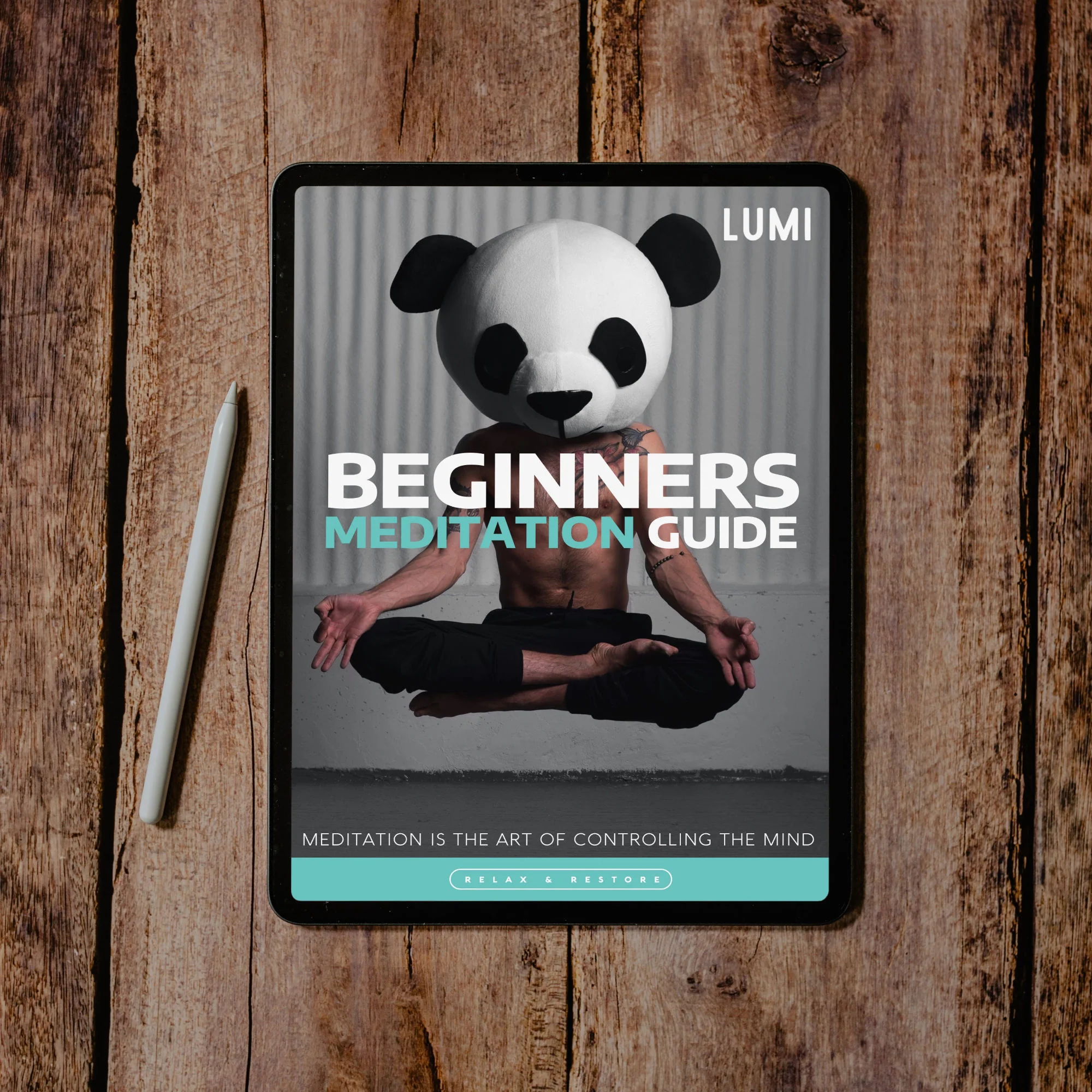 eBook - 3 Guide Bundle - Image 4