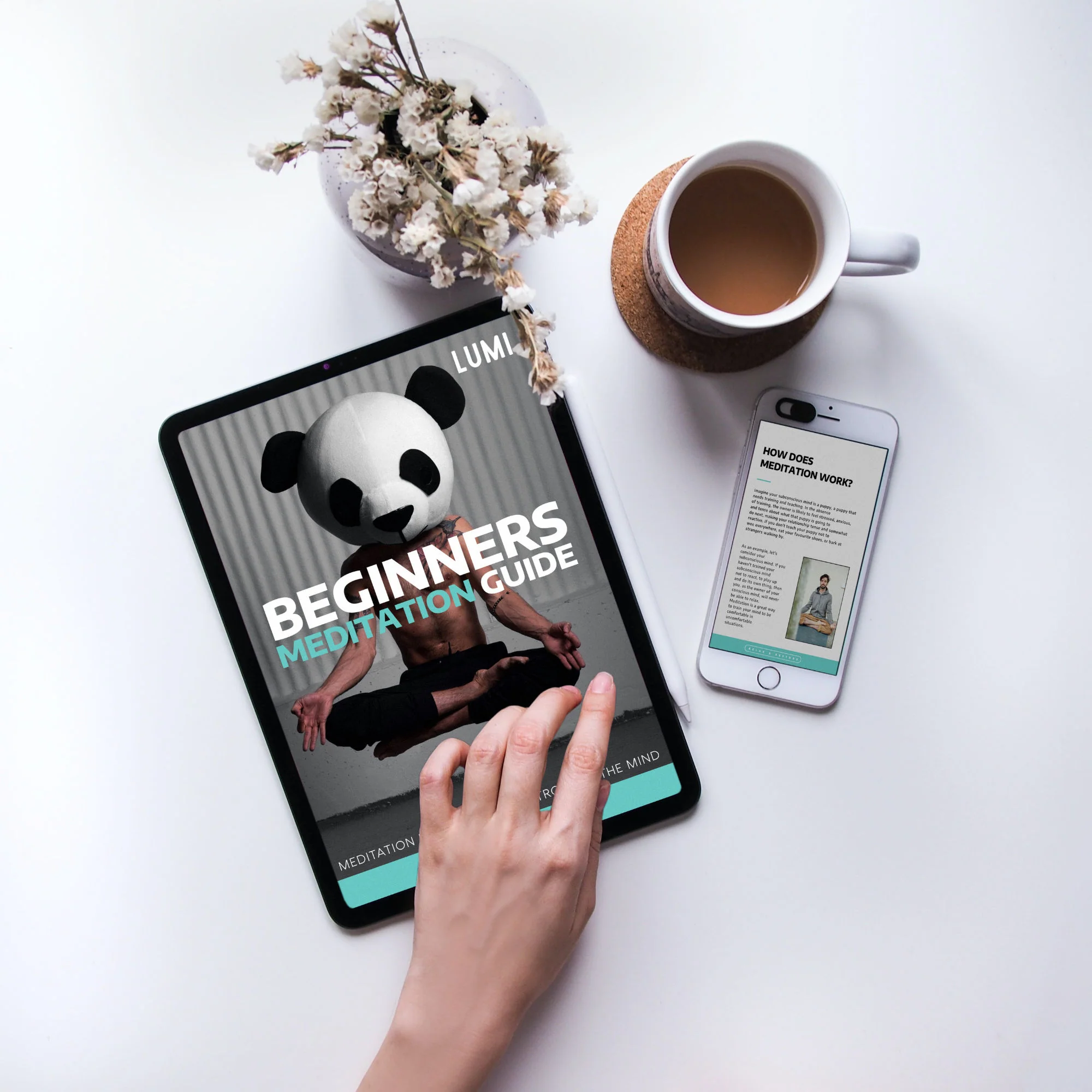 eBook - The Beginners Meditation Guide - Image 6